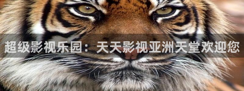 爱丫爱丫兄妹在线电视剧