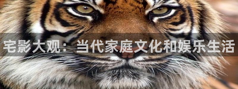 爱丫爱丫电视剧免费观看下载