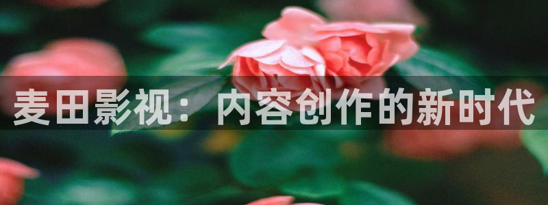 爱丫爱丫电视剧