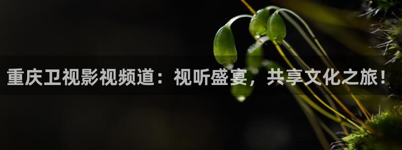 爱丫爱丫在线影院电视剧免费观看青春有你：重庆卫视影视频道：视听盛宴，共享文化之旅！