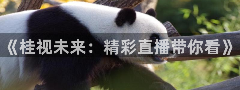 爱丫爱丫在线电视剧