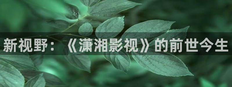 爱丫爱丫兄妹在线电视剧