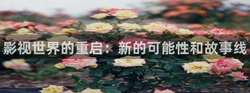 爱丫爱丫免费播放电视剧